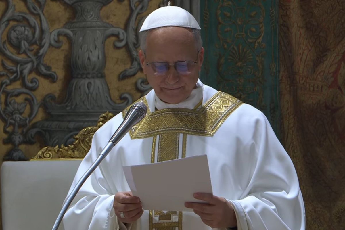 Papa León XIV: Como enseñó muchas veces el Papa Francisco, estamos llamados a dar testimonio de la fe
