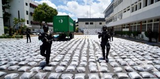 República Dominicana confisca el mayor cargamento de marihuana de su historia; presuntamente salió de Guatemala