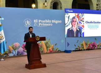 Santiago Palomo, secretario de Comunicación, sobre la candidatura de Claudia Escobár para secretaria General Adjunta de la Organización de los Estados Americanos (OEA)
