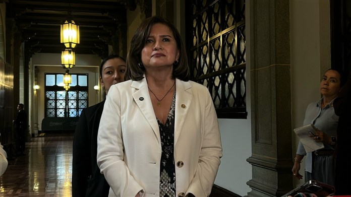 Vicepresidente Karin Herrera