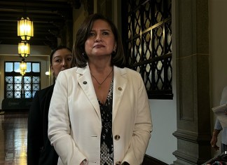 Vicepresidente Karin Herrera