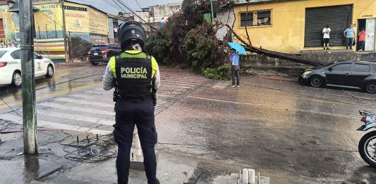 Por fuertes lluvias, aboles caídos son reportados en diferentes partes de la Ciudad de Guatemala