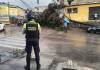 Por fuertes lluvias, aboles caídos son reportados en diferentes partes de la Ciudad de Guatemala