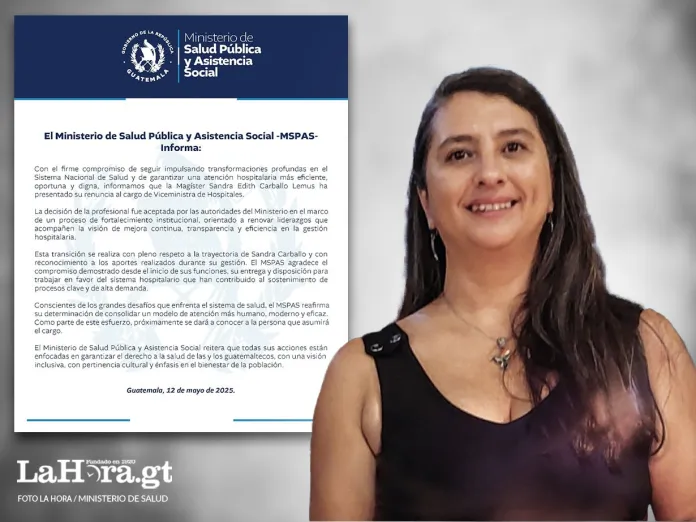 arte roberto altan viceministra hospitales