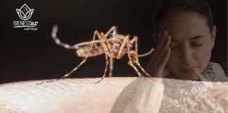 Dengue