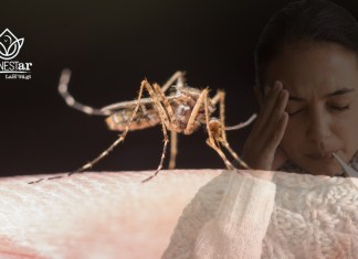 Dengue