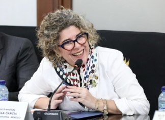 La ministra de Economía, Gabriela García, acudió a una citación al Congreso y explicó los avances para eliminar las barreras no arancelarias. Foto: Congreso de la República