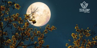 Descubre cuándo, cómo y por qué ocurre la Luna de Flores, que será visible este 12 de mayo.