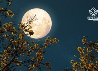 Descubre cuándo, cómo y por qué ocurre la Luna de Flores, que será visible este 12 de mayo.