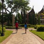 Descubre los hostales del IRTRA. Conoce todas las opciones de hospedaje que ofrece, cómo hacer tus reservaciones y las fechas clave para planificar tu visita.