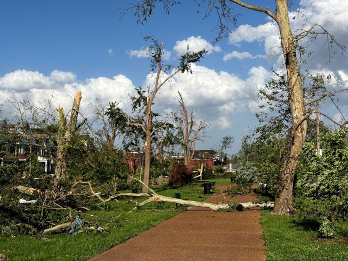 Árboles dañados y caídos en San Luis, Misuri, el viernes 16 de mayo de 2025, cuando fuertes tormentas, incluyendo un posible tornado, azotaron la ciudad. (Foto AP/Michael Phillis)