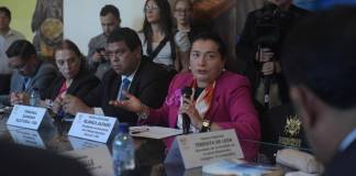 La presidenta interina del TSE, Blanca Alfaro, explicó la situación legal del partido Movimiento Semilla. Foto: La Hora / José Orozco