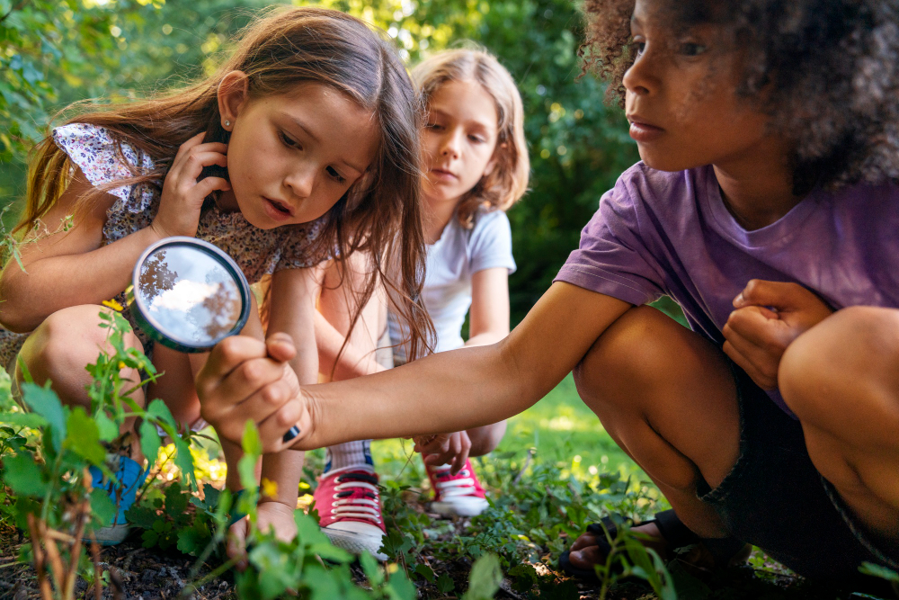 Aventuras en familia: Aprendizaje jugando y explorando