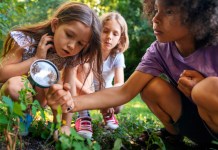 Aventuras en familia: Aprendizaje jugando y explorando Naturaleza