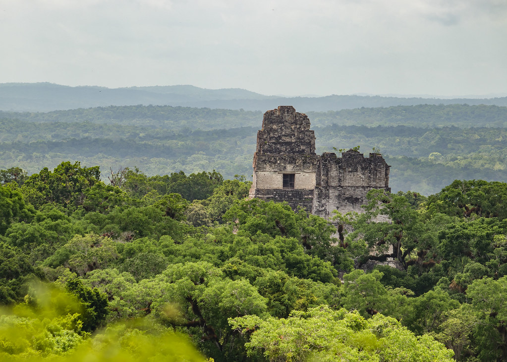 TIKAL