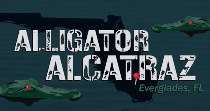 Alcatraz (1) (1)