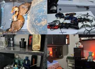 De cárcel a apartamentos de lujo y zoológico: los resultados de la requisa en la cárcel El Boquerón. Foto La Hora: PNC.