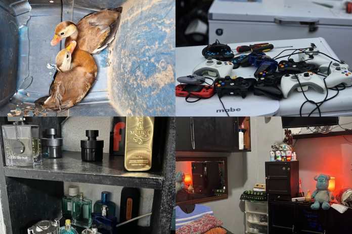Boqueron De cárcel a apartamentos de lujo y zoológico: los resultados de la requisa en la cárcel El Boquerón. Foto La Hora: PNC.