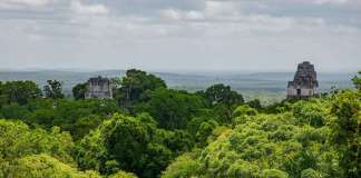 26 de junio: Día internacional de los bosques tropicales, un tesoro verde de Guatemala