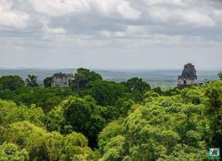 26 de junio: Día internacional de los bosques tropicales, un tesoro verde de Guatemala