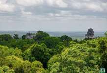 INAB impulsa la conservación de 414 mil hectáreas de bosque seco en Guatemala 26 de junio: Día internacional de los bosques tropicales, un tesoro verde de Guatemala