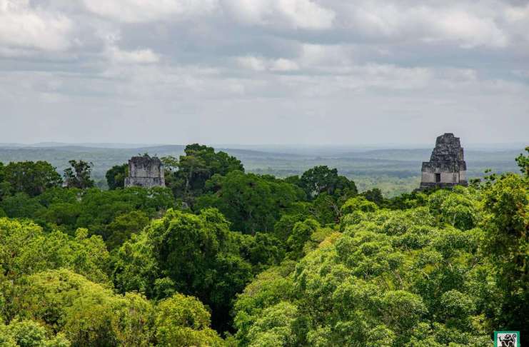 Guatemala será sede mundial de la contabilidad ambiental: el Grupo de Londres se reunirá en el país El agua y los bosques serán medidos a través de las cuentas verdes. Foto La Hora: Archivo