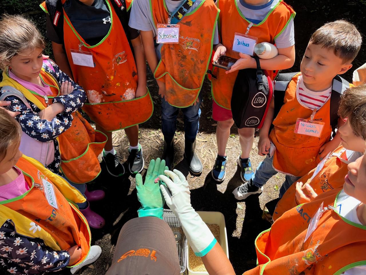 Curso de vacaciones en el Zoo