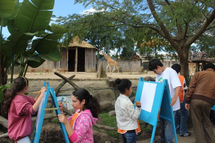 Curso de Vacaciones