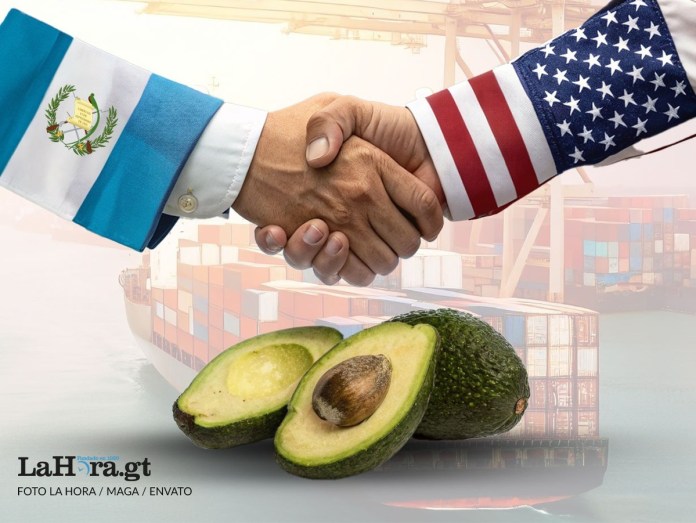 Delegacion de EEUU viene a Gt a auditar fincas de aguacate el ultimo paso para la exportacion