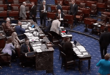 El Senado de EE. UU. ajustó la propuesta fiscal de Trump y el impuesto de remesas se reduce al 1% El Senado de EE. UU. ajustó la propuesta fiscal de Trump y el impuesto de remesas se reduce a 1%
