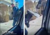 En redes circulan videos de agentes de ICE rompiendo vidrios de vehículos para detener a migrantes en posible situación irregular. Foto La Hora: AP
