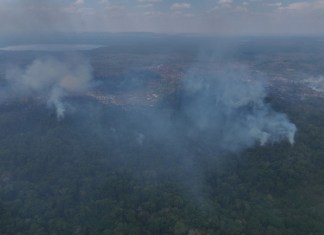 INAB se pronuncia por incendios en Parque Nacional Laguna Lachuá