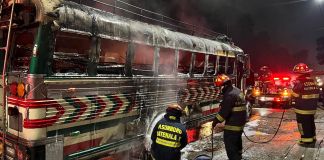 Bus extraurbano prende en llamas tras estallarle una llanta en la ruta interamericana