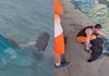 Autoridades del Cuerpo Voluntario de Bomberos (CVB), comenzarán la busqueda de 5 personas luego ser reportadas desaparecidas al volcar en una lancha en Río Dulce, Izabal.