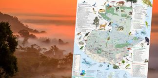 Área protegida y mapa “Viaje por las Áreas Protegidas de Guatemala”. Foto La Hora: CONAP