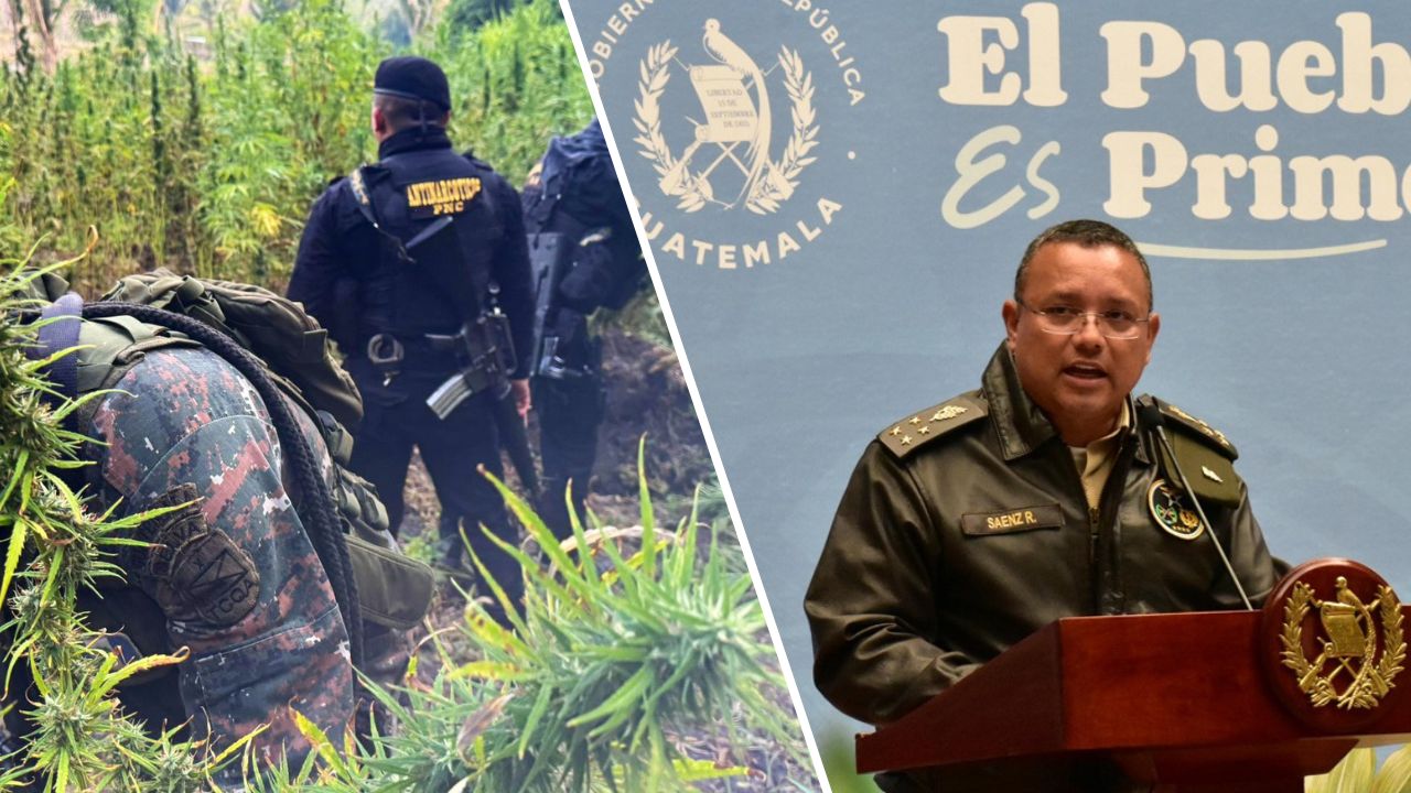 Ejército ha incautado mil kilogramos de cocaína y erradicado 48 mil matas de marihuana en 2