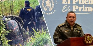 Ministro de Defensa Nacional, Henry Sáenz, sobre erradicación de plantas de marihuana en 2025.