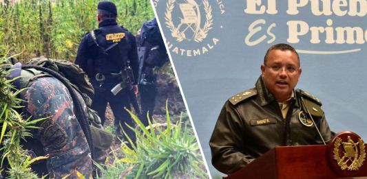 Ministro de Defensa Nacional, Henry Sáenz, sobre erradicación de plantas de marihuana en 2025.