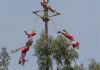Voladores de Papantla