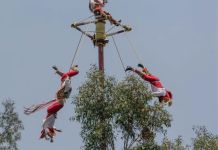 Cinco Voladores de Papantla caen tras colapso de poste en Tihuatlán Voladores de Papantla