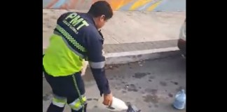 "Obstáculos fuera": PMT retira objetos que obstruyen la vía en zona 4