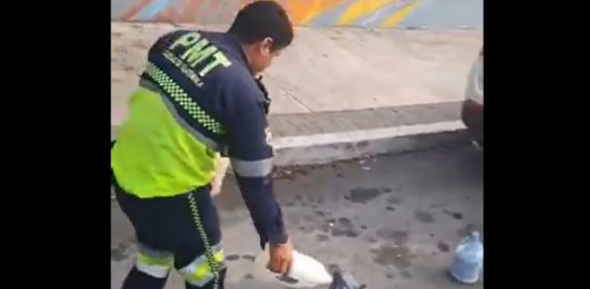 "Obstáculos fuera": PMT retira objetos que obstruyen la vía en zona 4