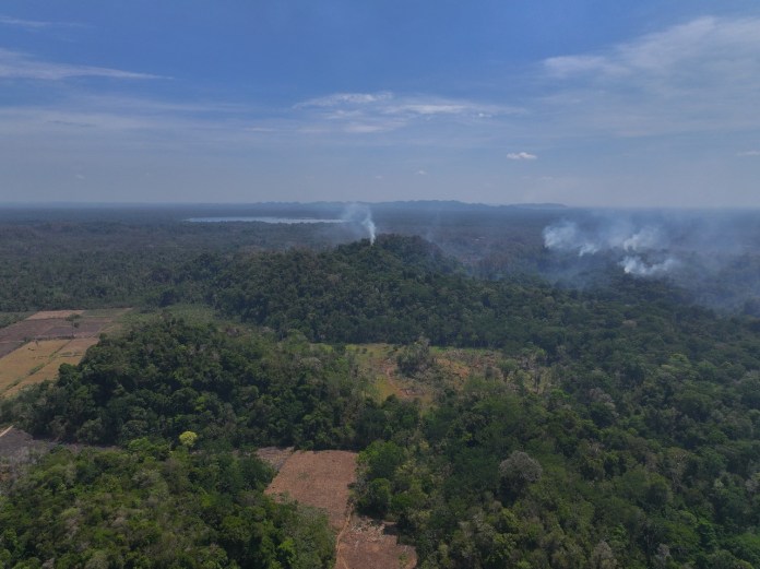 Conap denuncia incendio activo en área usurpada del Parque Nacional Laguna Lachuá