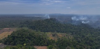 Conap denuncia incendio activo en área usurpada del Parque Nacional Laguna Lachuá
