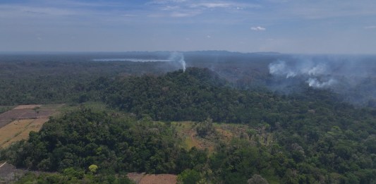 Conap denuncia incendio activo en área usurpada del Parque Nacional Laguna Lachuá