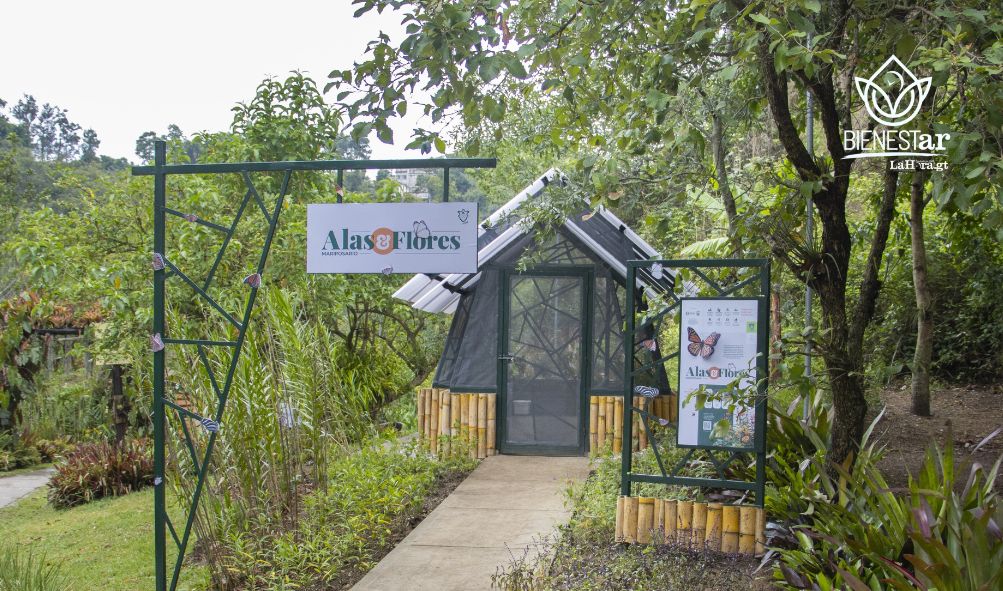Mariposario en la ciudad: celebra este fin de semana los 1
