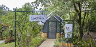 Celebra los 10 años del Parque Ecológico La Asunción con talleres, recorridos, música y la apertura del primer mariposario educativo