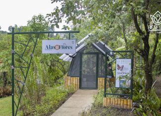 Celebra los 10 años del Parque Ecológico La Asunción con talleres, recorridos, música y la apertura del primer mariposario educativo