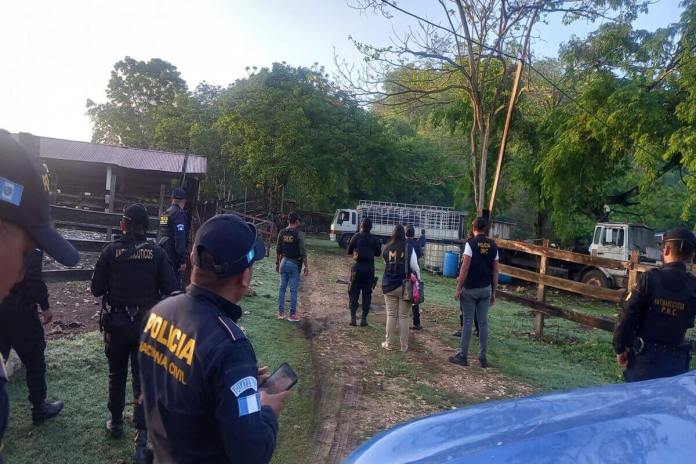 Decenas de agentes de la PNC participan en los allanamientos en Petén este 15 de junio. Foto: PNC