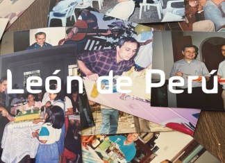Leon de peru